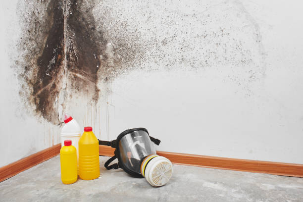 Best Crawl Space Mold Removal  in Lyons, KS