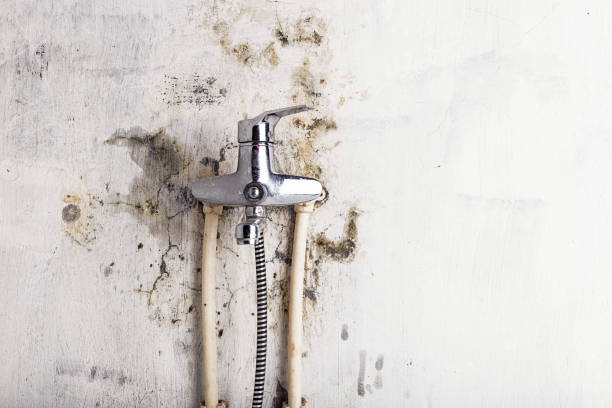 Best Emergency Mold Removal  in Lyons, KS