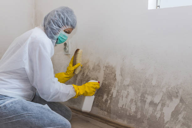 Best Water Damage Restoration  in Lyons, KS