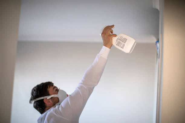 Best Best Mold Removal Companies  in Lyons, KS