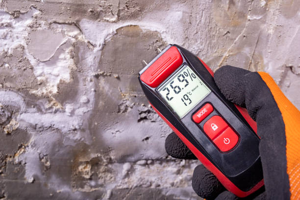 Office Mold Removal Services in Lyons, KS
