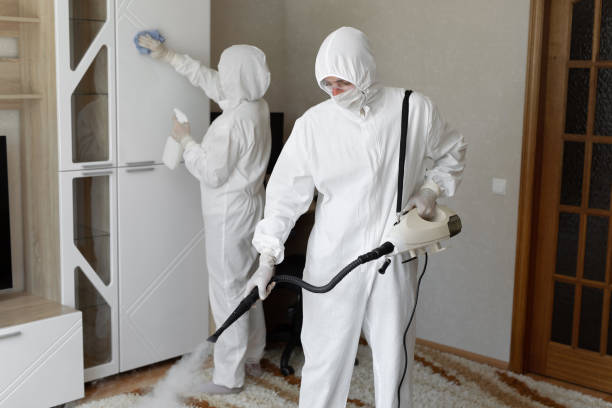 Best Mold Inspection  in Lyons, KS
