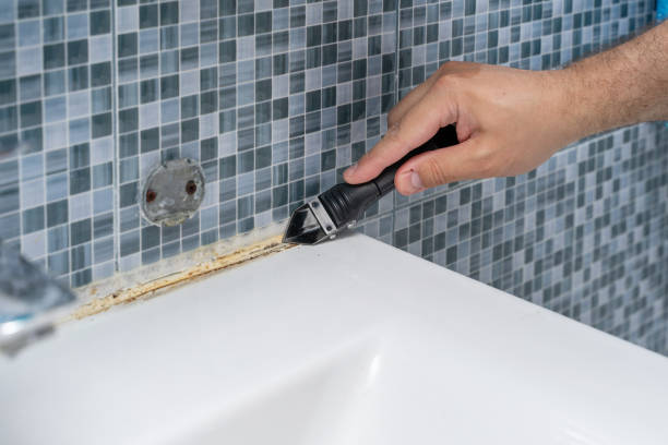 Best Mold Removal Company Near Me  in Lyons, KS