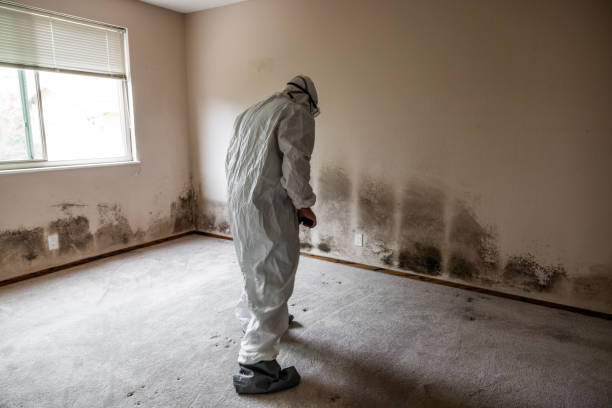 Best Water Damage Restoration  in Lyons, KS